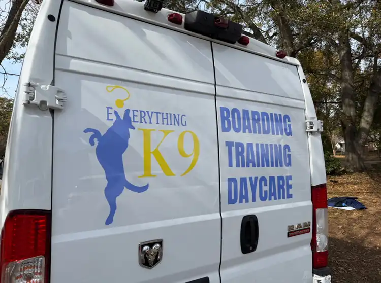 Cut vinyl graphics
